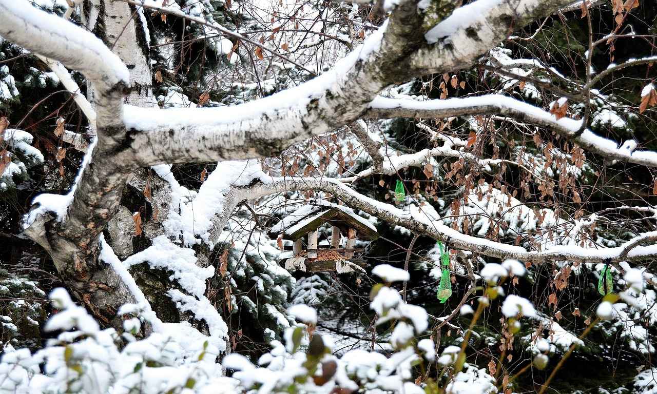 Şişli Pazarlarına Katılmak İçin Gerekli Bilgiler