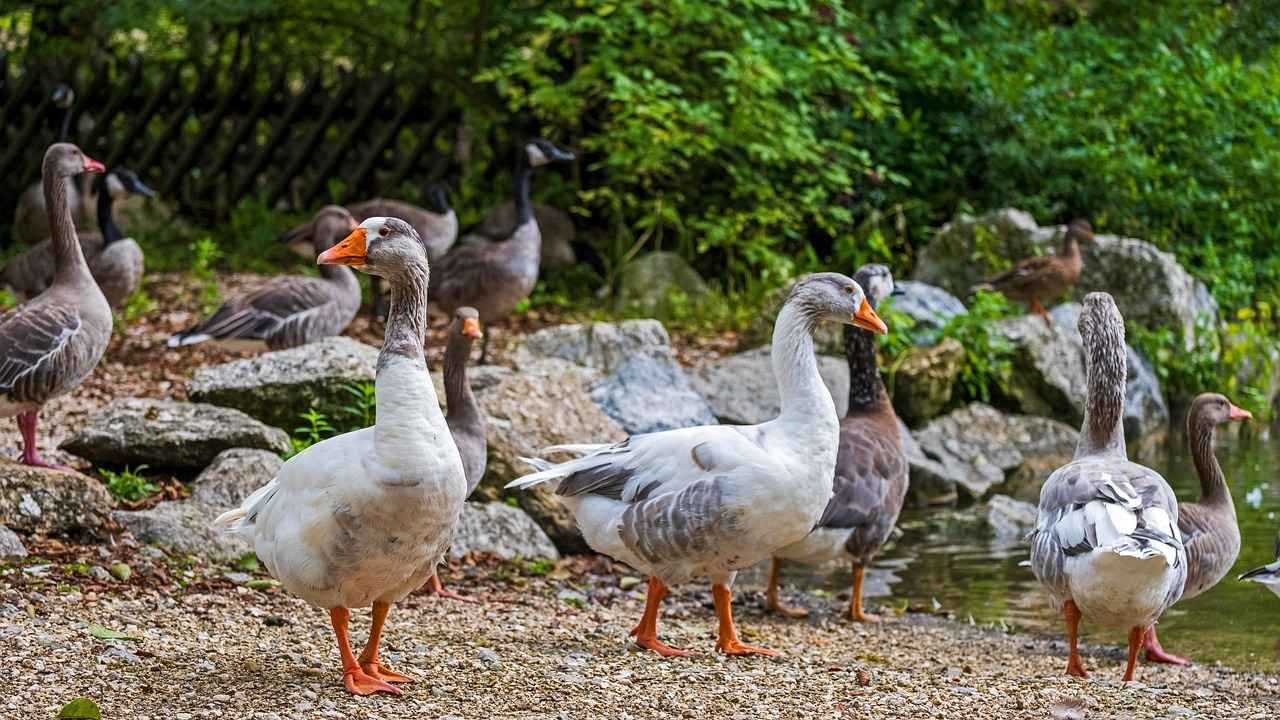 Şişli'de Bebek Ürünleri İçin İkinci El Seçenekleri