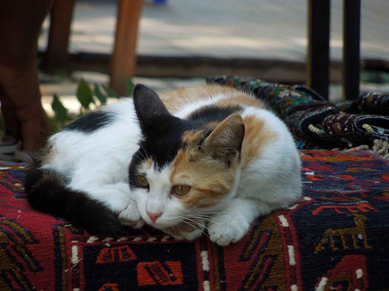 Şişli'deki Gayrimenkul Fiyatları Ne Durumda?