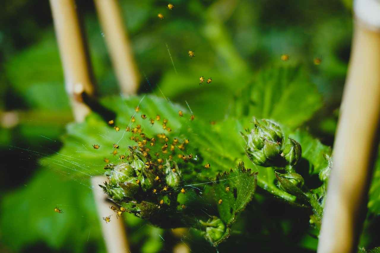 Şişli’de Engelli Ulaşımı: Rampalar, Asansörler ve Erişilebilirlik Durumu Şişli’de Engelli Ulaşımı: Rampalar, Asansörler ve Erişilebilirlik Durumu