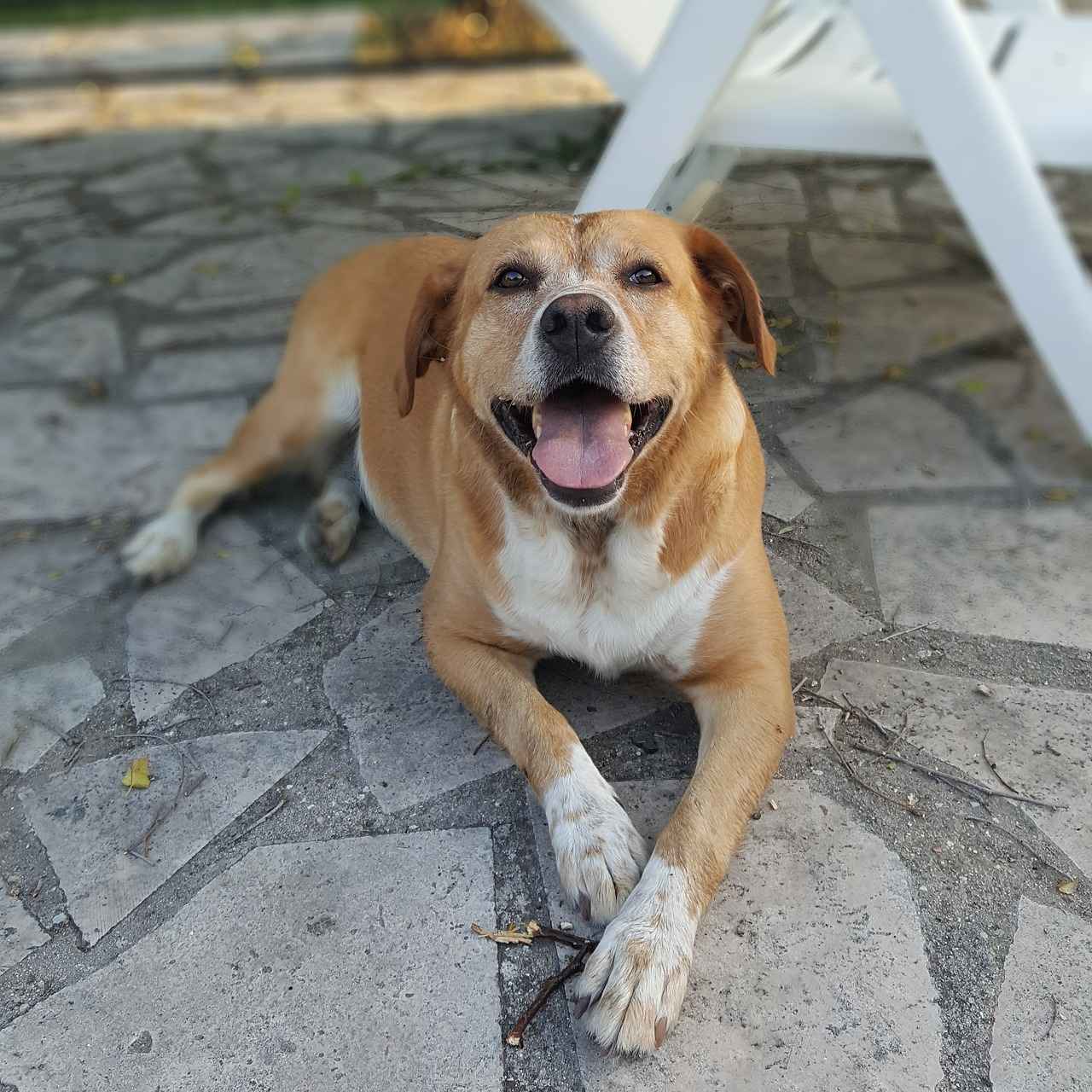 Şişli’de Kira Getirisi En Yüksek Mahalleler Hangileri? Şişli’de Kira Getirisi En Yüksek Mahalleler Hangileri?