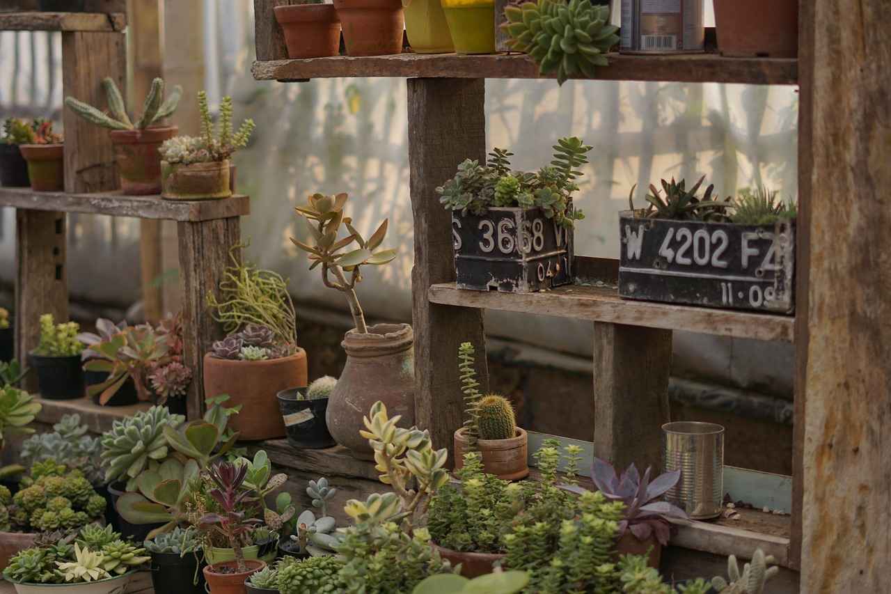 Şişli'de Alışveriş Yaparken Dikkat Edilmesi Gerekenler