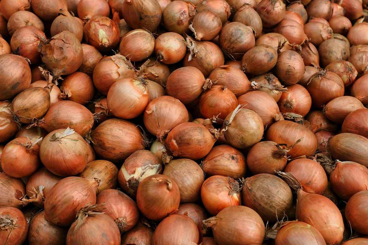 Şişli’de Vegan Restoranlar Nerede Bulunur?