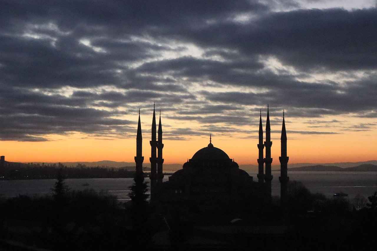 Özel Araç