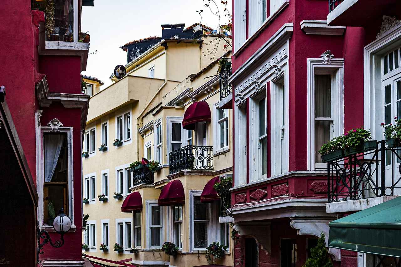 Özel Araç