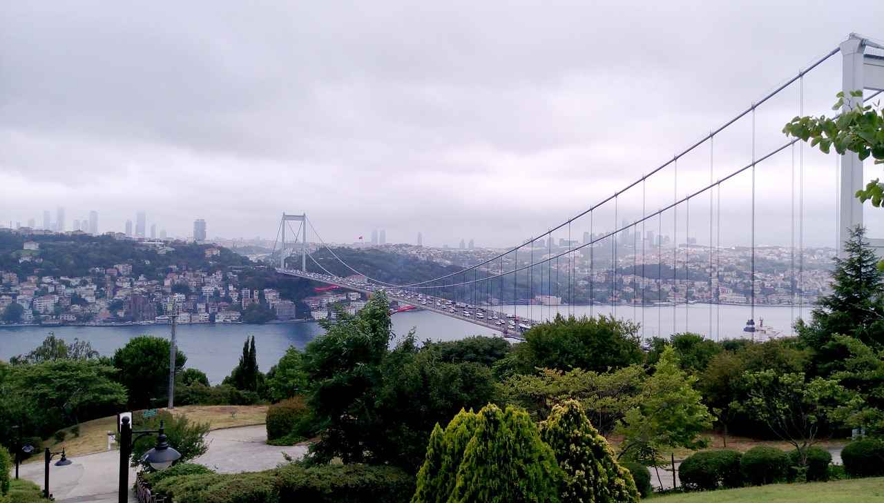 Özel Araç