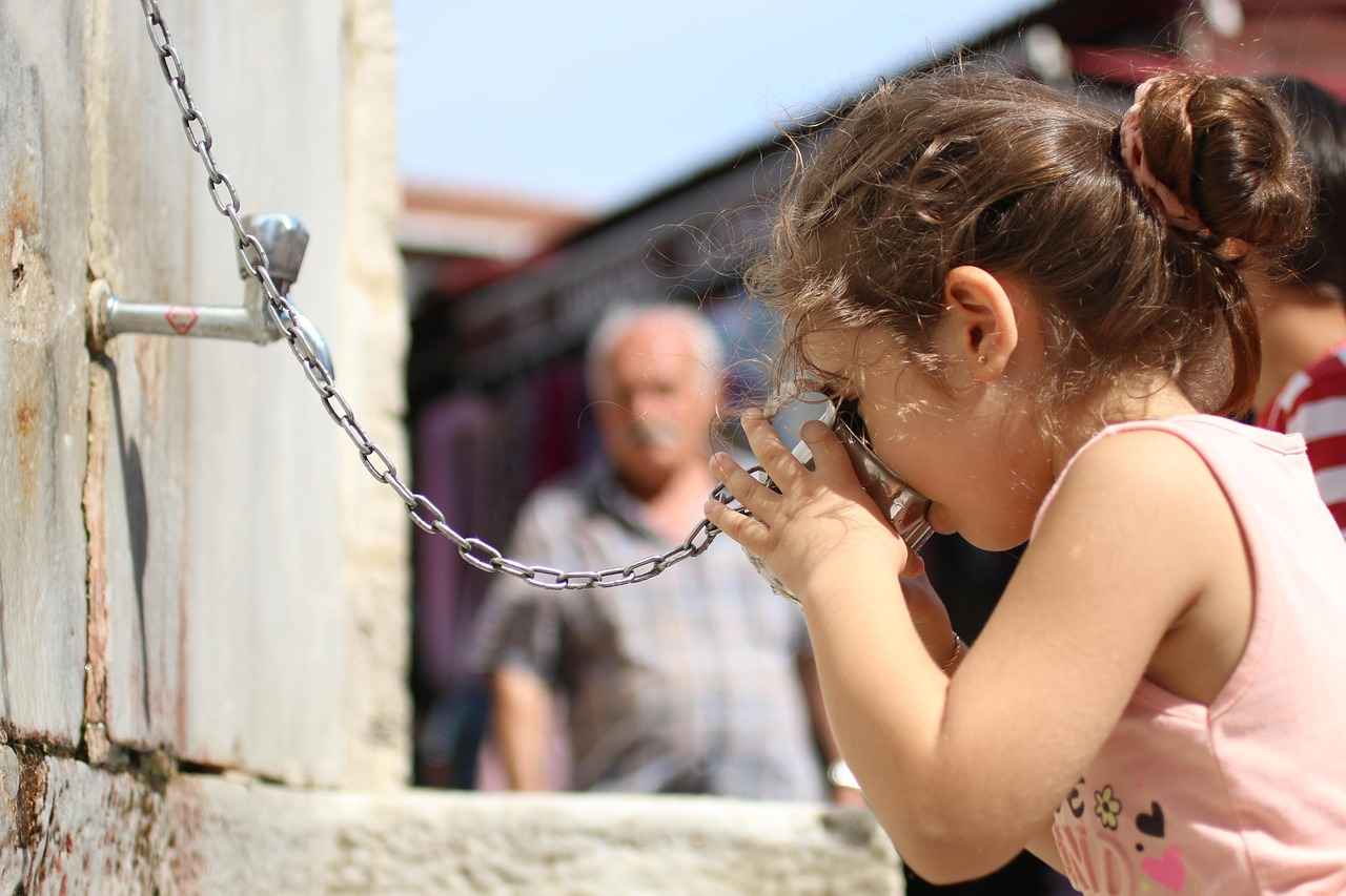 Ulaşım Seçenekleri ve Mesafe Bilgisi