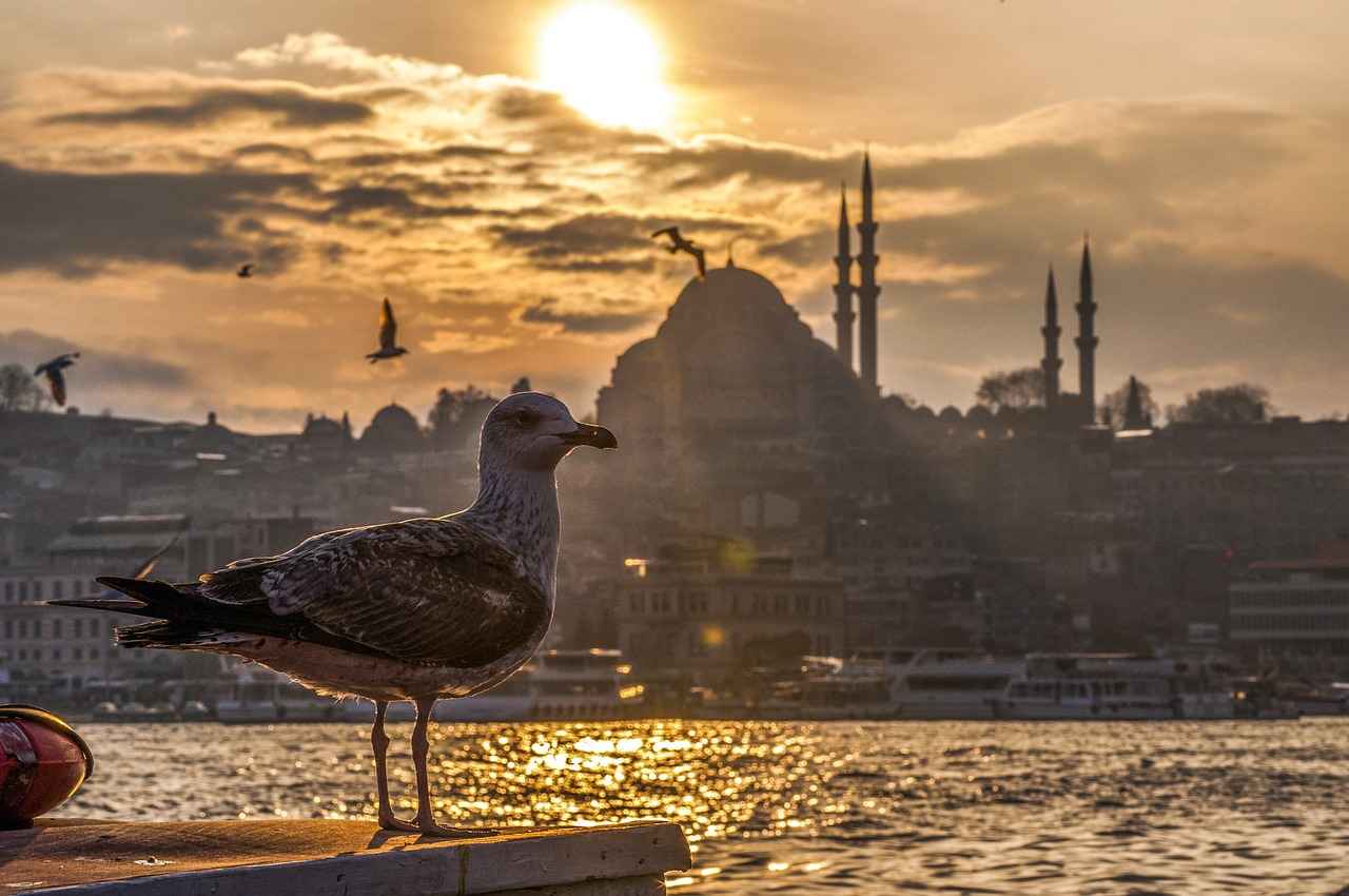 Şişli'den Toplu Taşıma ile Ulaşım Nasıl Sağlanır?