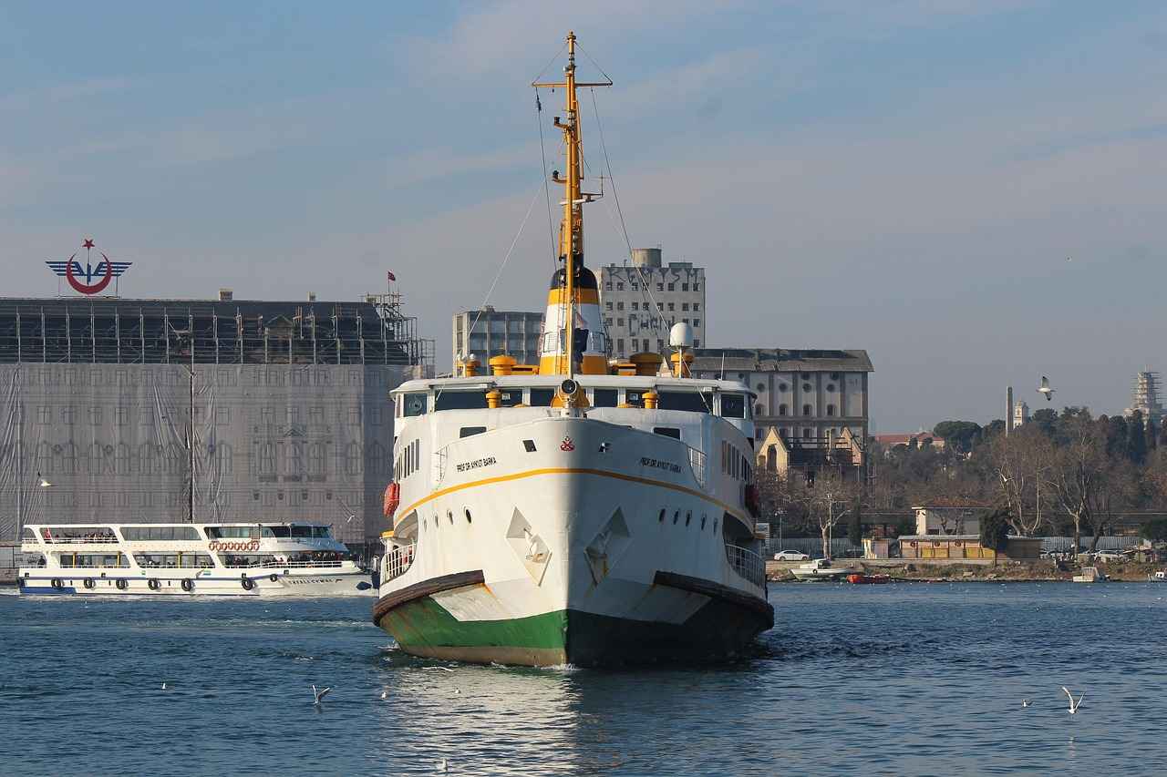 Özel Araç