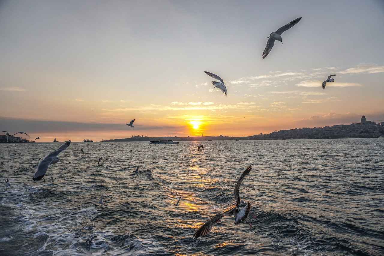 Ulaşım Seçenekleri ve Mesafe Bilgisi