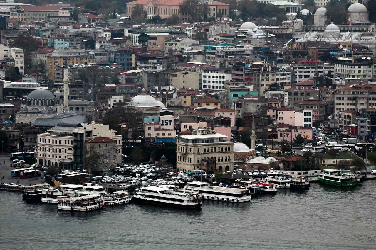 Özel Araç