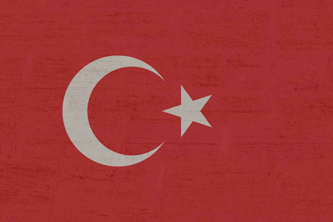 Otobüs/Minibüs