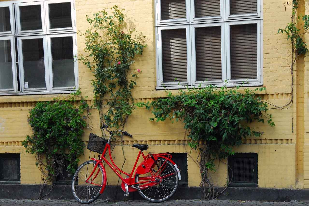 Bisiklet/Scooter