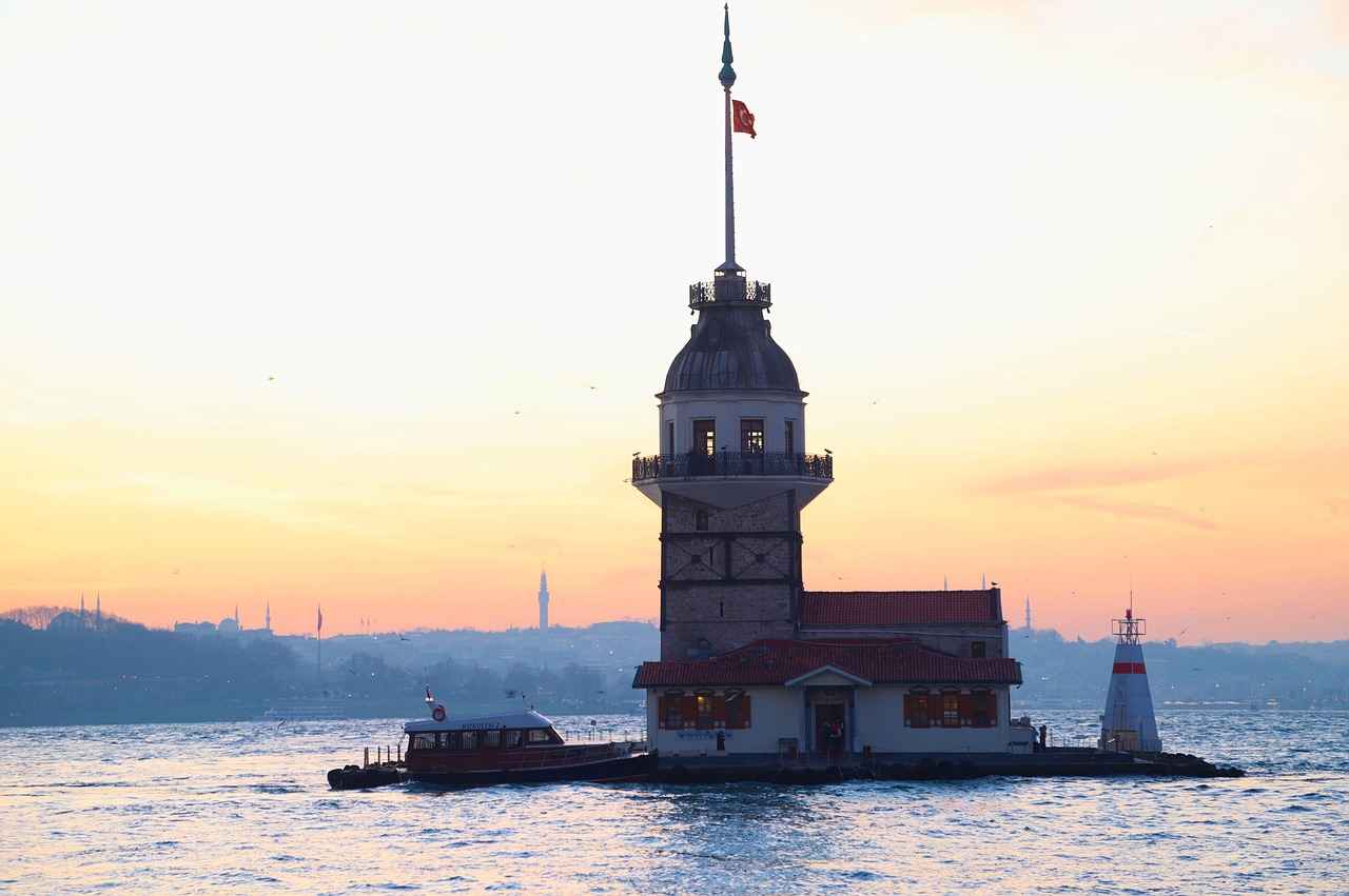 Özel Araç
