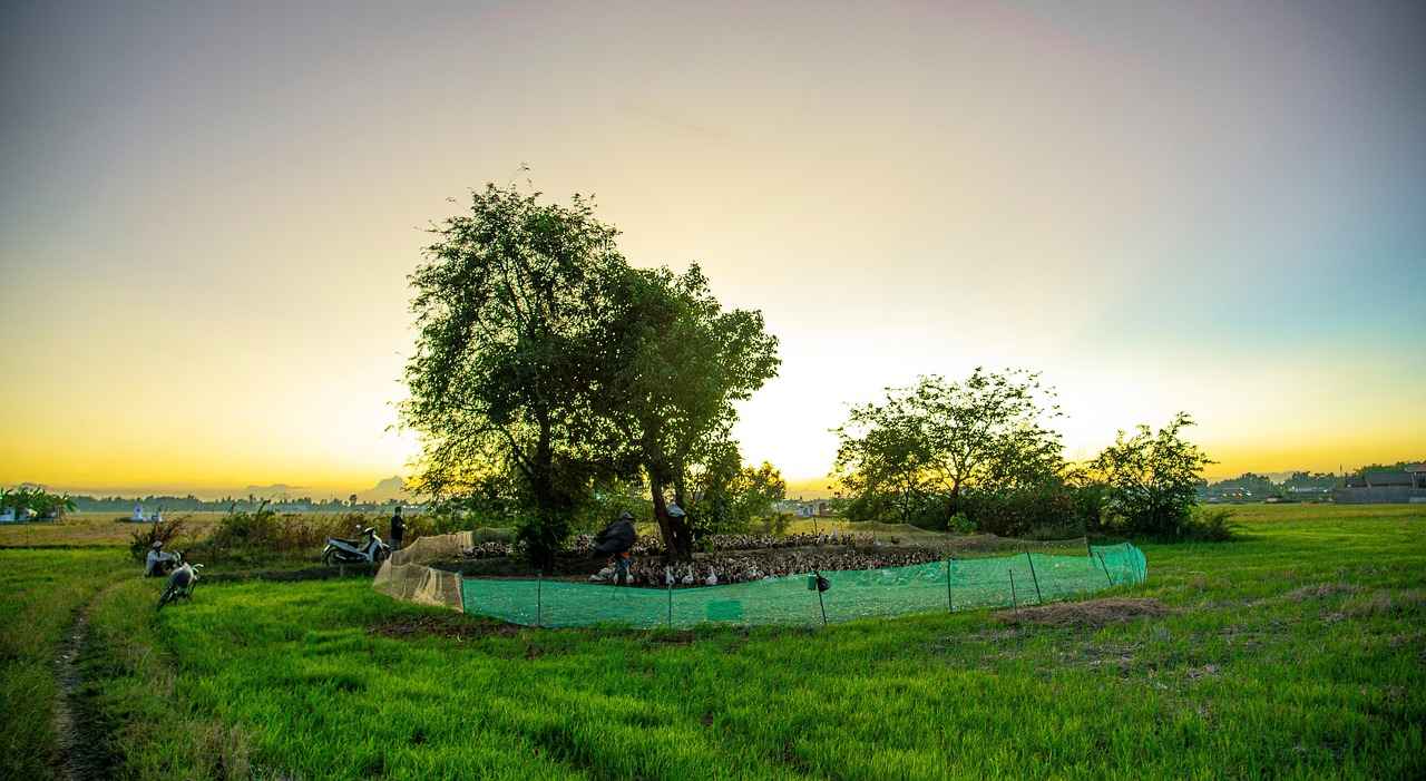 Şişli'nin Eğlence Kulüpleri