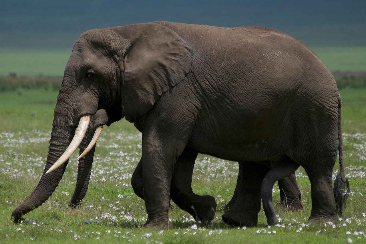 Şişli'nin Tarihi Tiyatroları Hangileri?