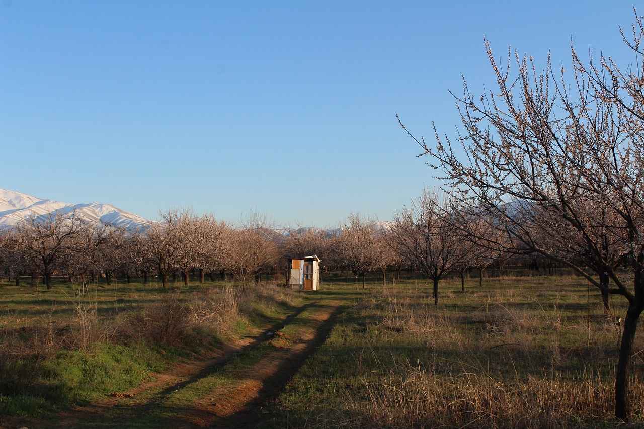 Şişli'de Hangi Sektörler Öne Çıkmaktadır?