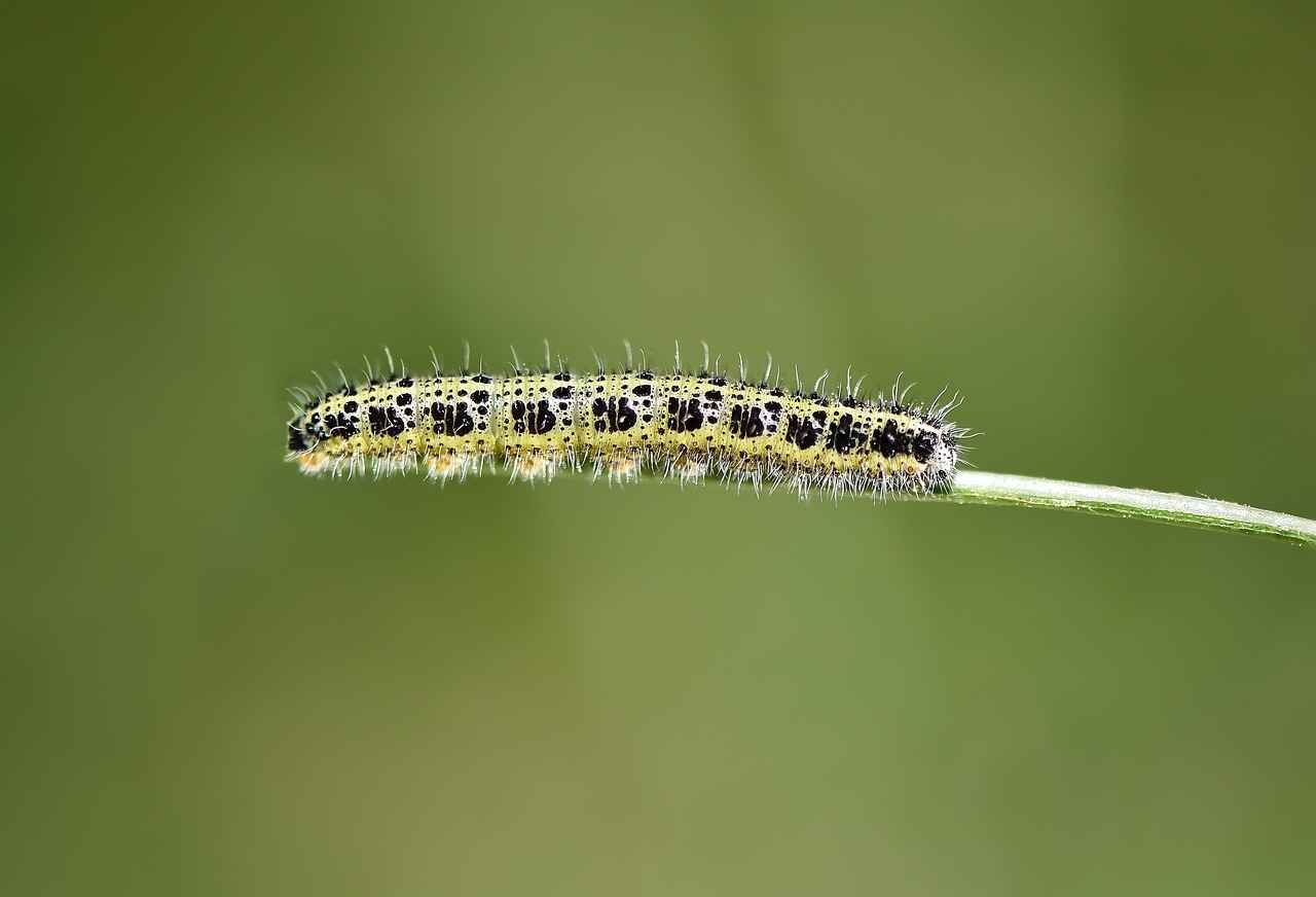 Şişli’deki En Popüler Parklar Hangileridir?