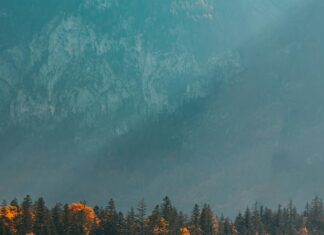 Şişli Ois İle İşlerinizi Kolaylaştıracak Sırları Keşfedin