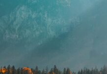 Şişli MYO Nedir? Keşfetmeniz Gereken Fırsatlar ve İpuçları