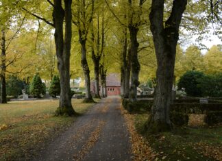 Memorial Şişli’de Sağlıkta Mükemmelliğin Sırları Neler?