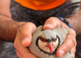 Van Şişli Öğretmenevi: Keşfedilecek Gizemli Konaklama Deneyimi
