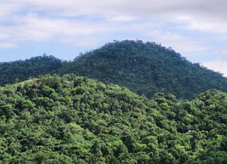 Walton Residence Şişli: Şehrin Kalbinde Lüks ve Konfor Nedir?