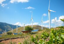 Türkiye’de Yenilenebilir Enerji Kaynakları ve Geleceğin Enerji Politikaları Renewable Energy Sources in Turkey and Future Energy Policies