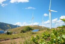 Türkiye’de Yenilenebilir Enerji Kaynakları ve Geleceğin Enerji Politikaları Renewable Energy Sources in Turkey and Future Energy Policies